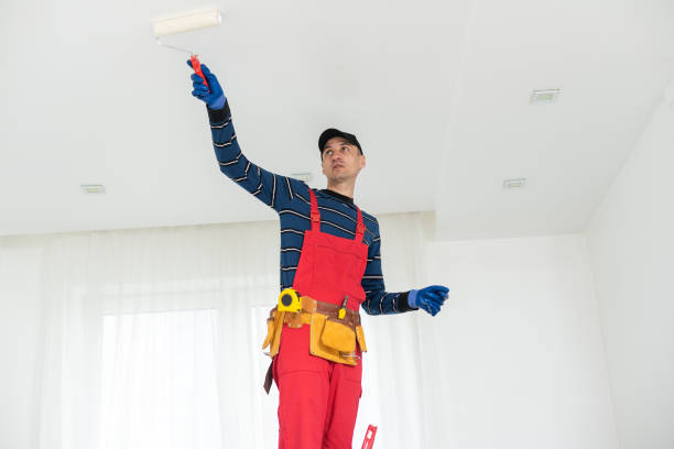 Trusted Vienna, GA Dry wall and painting Experts