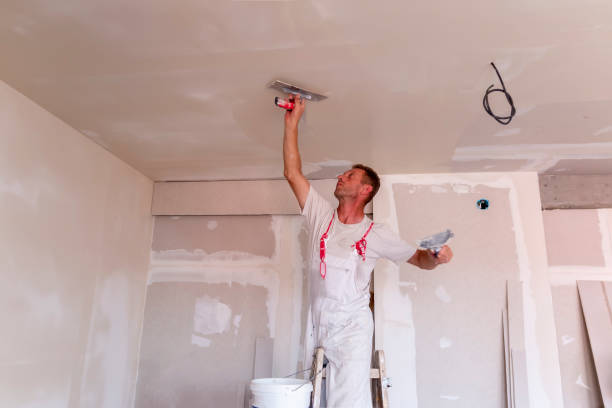 Best Drywall Repair  in Vienna, GA